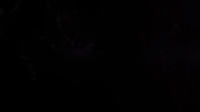 Falcon 180B AI.gif